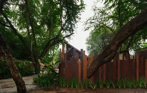 Discover Little Ground Common Space: A Stunning Urban Forest Cafe in Udon Thani Featuring Biophilic Architecture and Lush Greenery-12