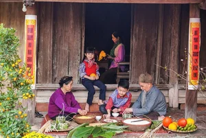 Celebrating Vietnamese Tet: A Guide to the Traditions, Colors, and Cultural Identity of the Lunar New Year in Vietnam-5