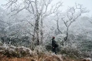 Discover Vietnam's Enchanting Winter Wonderland: Mystical Frost-Covered Landscapes Await You-0