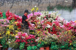 Vibrant Floating Flower Market in Ho Chi Minh City: A Traditional Lunar New Year Experience at Binh Dong Wharf, Vietnam-12