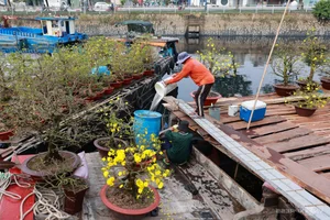 Vibrant Floating Flower Market in Ho Chi Minh City: A Traditional Lunar New Year Experience at Binh Dong Wharf, Vietnam-0