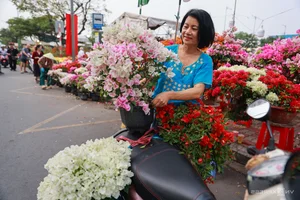 Vibrant Floating Flower Market in Ho Chi Minh City: A Traditional Lunar New Year Experience at Binh Dong Wharf, Vietnam-7