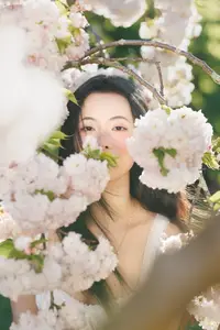 Spring Muse: Pristine Beauty and Grace Amidst Blooming Cherry Blossoms.-11