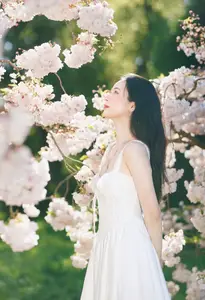 Spring Muse: Pristine Beauty and Grace Amidst Blooming Cherry Blossoms.-0