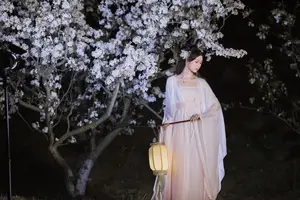 YiTuYu Vol.8782: Chu Yuan Yuan's Ethereal Beauty Amidst Cherry Blossoms Night-15