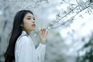 Long Xing Er: Graceful Cherry Blossom Muse – YiTuYu Vol.8741 Poetic Portrait-0