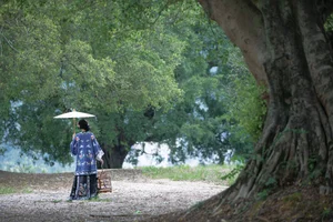 Timeless Elegance: Xin Xin in YiTuYu Art Language Vol.8883-13