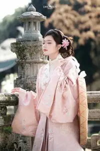 Pink Grace - Captivating Elegant Asian Traditional Beauty-4