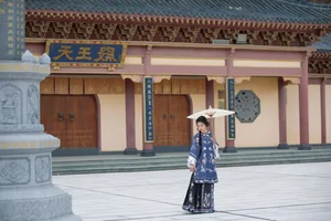 Timeless Elegance: Xin Xin in YiTuYu Art Language Vol.8883-28