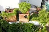 A Hanoi house in a narrow alley filled with natural light and ventilation-13