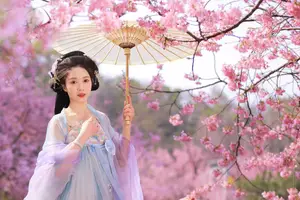 Hua Zhuang Shi Tian: Ethereal Beauty in Hanfu Amidst Cherry Blossoms, YiTuYu Vol.8837-17