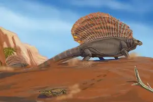 Edaphosaurus: Giant 'Sail-Backed' Prehistoric Creature, Unique Permian Herbivore-7