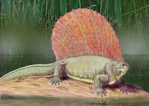 Edaphosaurus: Giant 'Sail-Backed' Prehistoric Creature, Unique Permian Herbivore-6