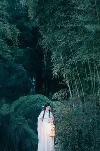 YiTuYu Vol.8687: Su Su - An East Asian Muse's Ethereal Night Tale-4