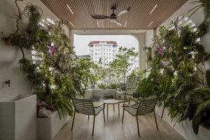 Sustainable Modern Townhouse: Transforming Urban Living with Biophilic Design and Lush Indoor Greenery-4