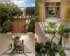 Sustainable Modern Townhouse: Transforming Urban Living with Biophilic Design and Lush Indoor Greenery-2