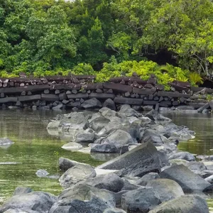 Unsolved Mysteries of Ancient Civilizations: Discovering the Enigmatic Moai Statues of Easter Island and Other Global Architectural Wonders.-3