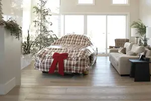 Million-Dollar Dream: Collector Trades Bugatti Veyron for Legendary Mercedes-Benz 300 SL Gullwing 1955-7