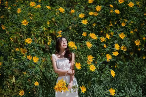 Da Lat Wild Sunflower Season: Explore Golden Paths and Unique Photo Spots-10