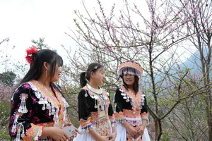 Spring in Vietnam: Breathtaking Peach Blossoms at Sin Suoi Ho Community Tourism Village, Lai Chau-0