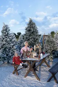 Giang My: Ageless U55 Beauty Shines Bright Celebrating Christmas Amidst Snowy Scenery-6