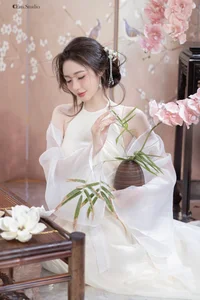 Pure Elegance: The Ethereal Beauty of Silk and Tradition-0