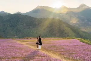 Ta Xua's Cosmos Flower Hill: A Romantic Escape Amidst Majestic Northwest Nature-4