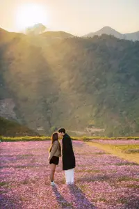 Ta Xua's Cosmos Flower Hill: A Romantic Escape Amidst Majestic Northwest Nature-7