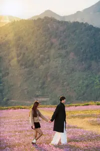 Ta Xua's Cosmos Flower Hill: A Romantic Escape Amidst Majestic Northwest Nature-0