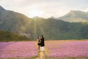 Ta Xua's Cosmos Flower Hill: A Romantic Escape Amidst Majestic Northwest Nature-6