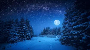 Stunning February Full Snow Moon: A Breathtaking Celestial Event Captured in the Night Sky-7