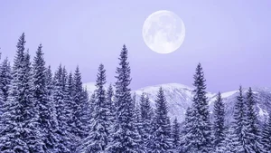 Stunning February Full Snow Moon: A Breathtaking Celestial Event Captured in the Night Sky-6