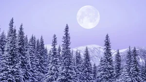 Stunning February Full Snow Moon: A Breathtaking Celestial Event Captured in the Night Sky-0
