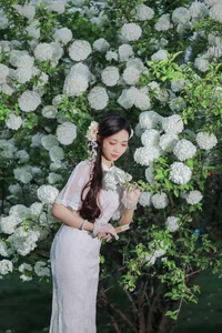 Ethereal Beauty in White Hydrangeas YiTuYu Vol.8965 Hua Zhuang Shi Tian-3