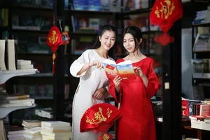 Experience the Vibrant Lunar New Year in Ho Chi Minh City: Stunning Tet Decorations and Nguyen Hue Flower Street Celebrations in Vietnam-2