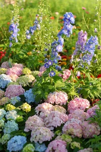 Lost in the shimmering beauty of the spring flower carpet by Hoan Kiem Lake-5