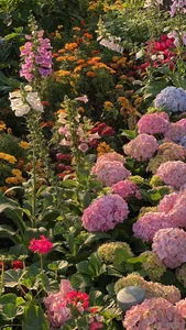 Lost in the shimmering beauty of the spring flower carpet by Hoan Kiem Lake-10