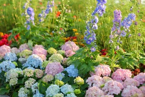 Lost in the shimmering beauty of the spring flower carpet by Hoan Kiem Lake-7