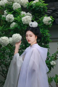 Ethereal Whispers: Nan Gua Zhou Amidst the Blooming Hydrangeas | YiTuYu Art Language Vol. 9092-13