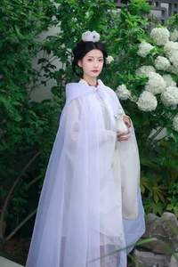 Ethereal Whispers: Nan Gua Zhou Amidst the Blooming Hydrangeas | YiTuYu Art Language Vol. 9092-9