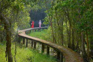 Escape to Tan Lap Floating Village: A Serene Melaleuca Forest Retreat in Vietnam’s Mekong Delta for Nature Lovers and Adventure Seekers-8