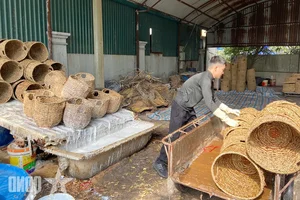 Discover the Timeless Art of Traditional Sedge Weaving in Tay An Village, Vietnam: A Celebration of Sustainable Craftsmanship and Cultural Heritage-1
